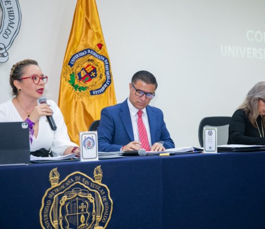 SE ROBUSTECEN MECANISMOS DE CONTROL INTERNO EN GESTIÓN DE YARABÍ ÁVILA; SE APRUEBAN MANUALES DE PROCEDIMIENTOS