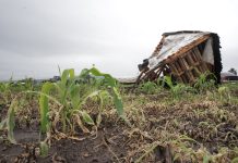 Retiran asentamiento irregular del predio agrícola del Internado La Huerta