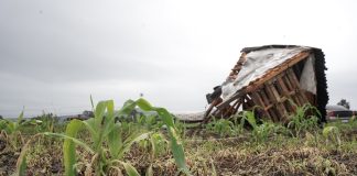 Retiran asentamiento irregular del predio agrícola del Internado La Huerta