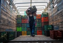 FGE confirma presencia de puntos de narcomenudeo en el Mercado de Abastos de Morelia