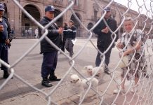 A 25 años del ‘rescate’ del Centro Histórico, sobreviviente sostiene que fue un desalojo violento y un fracaso