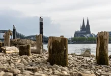La extrema sequía de los ríos Rin y Danubio asfixia la energía y el comercio de Europa