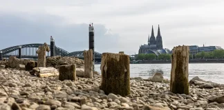 La extrema sequía de los ríos Rin y Danubio asfixia la energía y el comercio de Europa